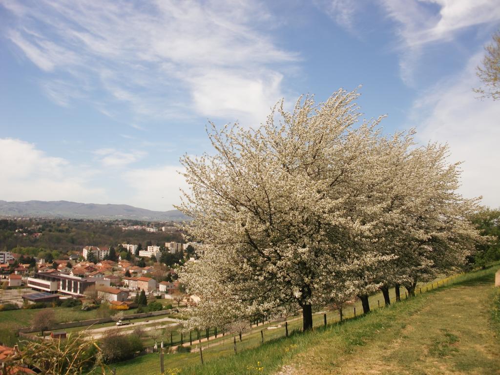 Domaine Lyon Saint Joseph Hotel Sainte-Foy-les-Lyon Luaran gambar